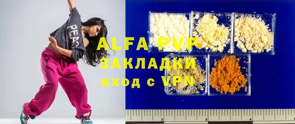 индика Нязепетровск