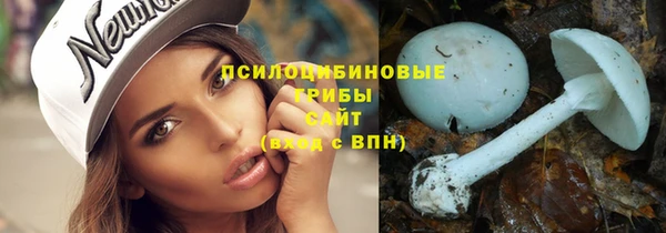 индика Нязепетровск