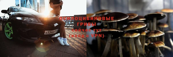 кокс Осташков