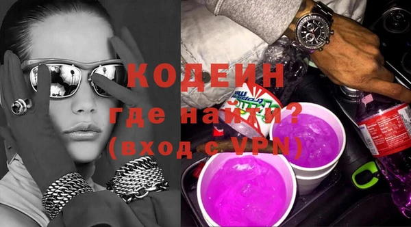 индика Нязепетровск