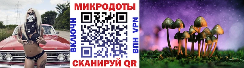 купить наркотик  kraken онион  Псилоцибиновые грибы ЛСД  Мамадыш 